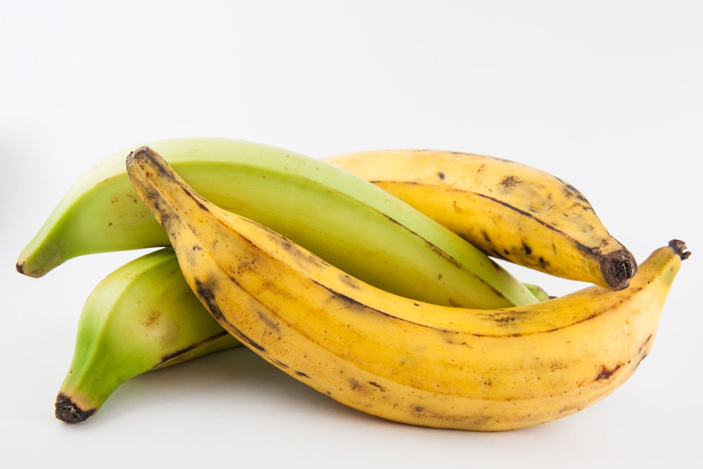 PLANTAIN