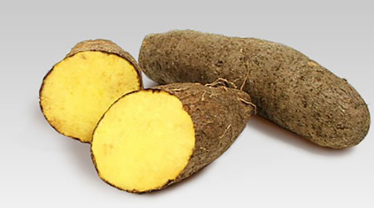 yellow yam
